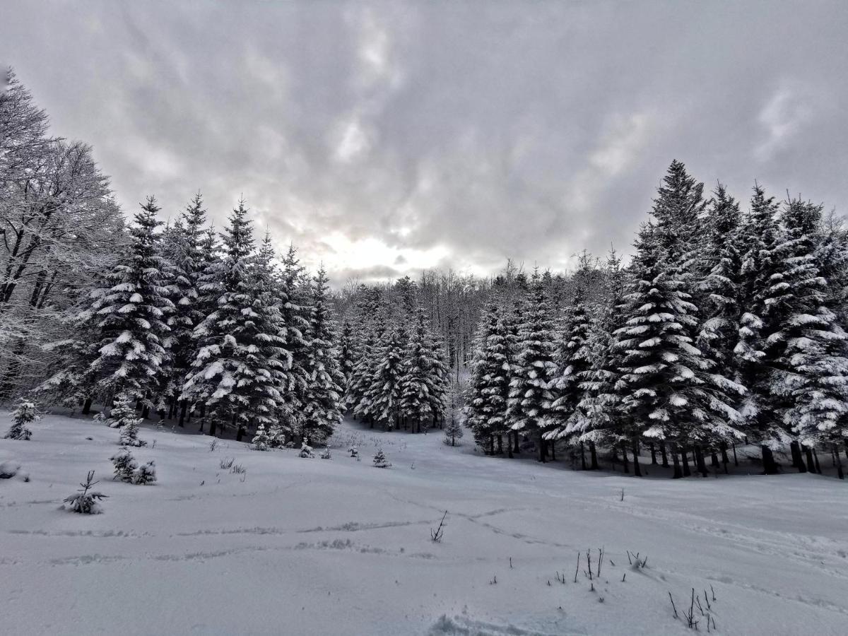 Great Mountain B&B Platak Esterno foto