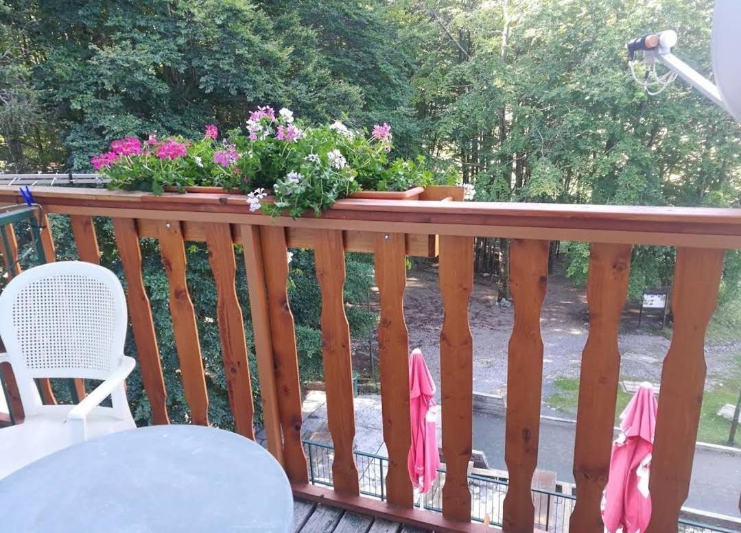 Great Mountain B&B Platak Esterno foto