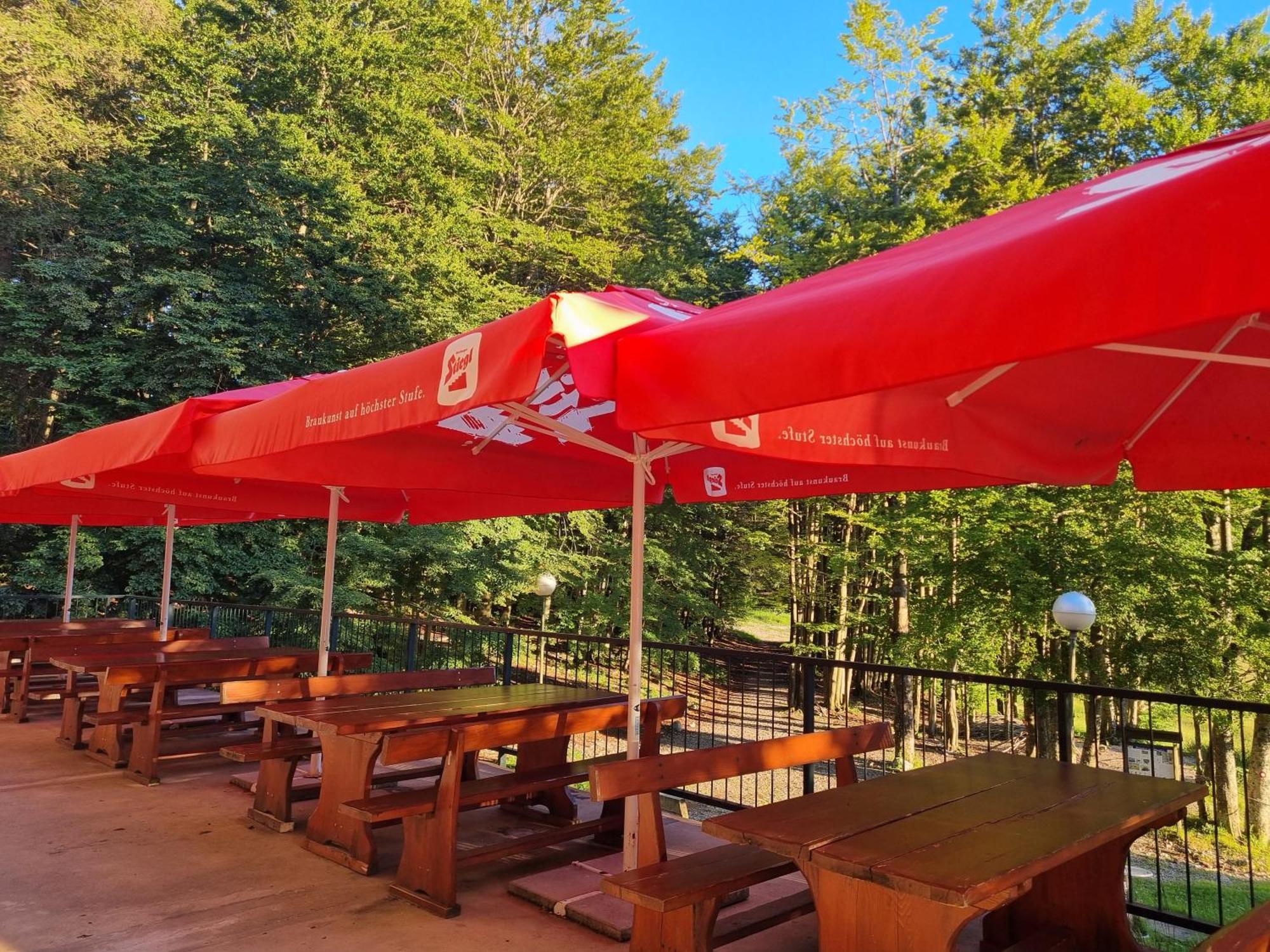 Great Mountain B&B Platak Esterno foto